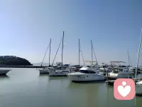 對生活充滿熱情，
溫柔以待，
不論任何年齡，
都可以把日子過得有聲有色。 
愿每一個醒來的日子，
都有陽光相伴，
或許在晴空，
或許在心里。