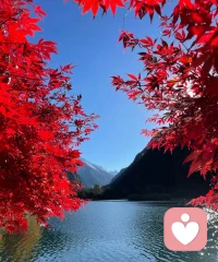 “自律的頂端是孤獨，孤獨的頂端是自由?！?一一尼采