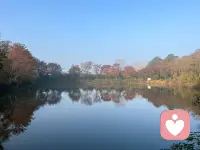 真正的高情商是：

尊重、宽厚、真诚、用心！