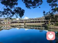 治愈，不是让伤口消失，而是学会与之共处。