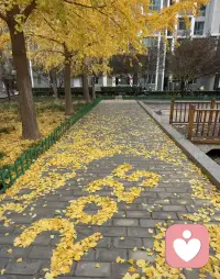 总有一天，你会明白，真正能够治愈你的，从来都不是时间，而是你心里的那段释怀和格局，只要你内心不慌乱。