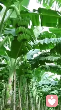 生活會在你的努力下
一點一點的變甜
變得更溫暖
?配圖