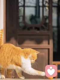 整理好心情，調整好狀態
元氣滿滿再出發
愿你勇敢又努力，上進且堅定
活成自己想要的樣子
新的一天，早安[太陽]配圖