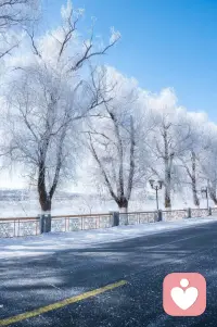 順境時學會清空自己，逆境時學會提醒自己，向內清醒，向外謙遜，美好才會與你不期而遇。開始美好的一天！配圖