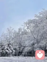 順境時學會清空自己，逆境時學會提醒自己，向內清醒，向外謙遜，美好才會與你不期而遇。開始美好的一天！配圖