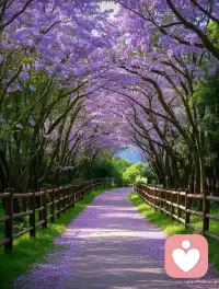 不內耗的心態
1.不糾結；
2.不要追求完美；
3.不要想著去改變別人；
4.不在意別人的評價；
5.事情一旦掌控不了，就隨他而去；
6.所有的發生的事都是好事，當成禮物來看待。配圖