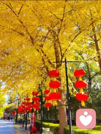 低級的欲望，放縱即可獲得。高級的愿望，只有克制才能達(dá)成。