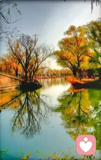 经营自己，永远比拯救关系更有价值