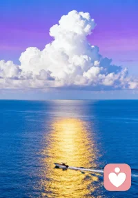 先把自己活成“值得被带”的样子，认真对待手头的事，真诚对待眼前的人，保持开放，保持善意。就像花开了，蜂自然会来；你亮了，光自然会照过来。