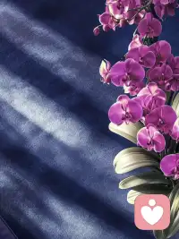 人生是一场旅途，万物如画，一切如是。允许发生，允许体验，允许感知，便是与生命共舞。看山是山，看水是水，在当下的每一刻，全然绽放自己的星芒。