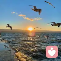 敬生活里的暗淡，也敬生活里的灿烂
生活有剥夺，也有馈赠，
有暗淡，也有灿烂
季节轮回，总有新的故事值得期待，
日子再简单，再平淡，也可以选择浪漫，
只要你不再焦虑，这世界便开满了花。