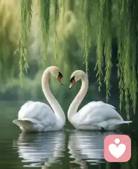 “每一场相遇都有意义，不是馈赠便是成长”配图