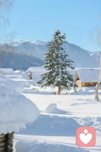别老想着靠谁，这世上最靠谱的只有自己。把时间花在让自己变强上，比到处找依靠有用多了。等你真强大了，全世界都会对你和颜悦色。配图