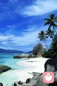 “应该”是心理压力的常见根源，试着将“我应该”换成“我选择”或“我可以”。配图