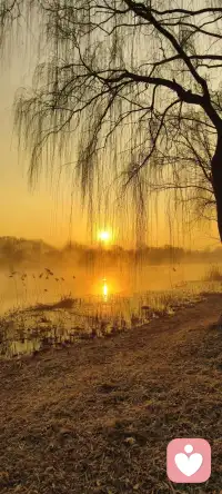 沉得住气，是一种格局、一种追求，更是一种耐力。越是艰难处，越是修心时。越是身处低谷，越是不能急躁。沉住气，将眼前的事情一件一件处理好，自然会豁然开朗。配图