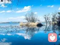 我喜欢安静，安静是一个人内心强大的力量，

安静是退出他人的热闹，

回归自己的世界，给生活做减法，

给精神世界做加法。

专注于自己喜欢的事情上，

不声张 不炫耀 不迎合！

一个人内心安静朴素，

圈子简单干净，生活自然顺遂圆满，感恩努力的自己配图