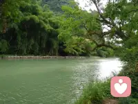 🍎🍎🍎
每个人都有自己的幸福，
仰望别人的幸福时，
别人也在仰望你的幸福。
用一颗浏览的心，去看待人生，
一切的得与失、隐与显，
都是风景与风情配图