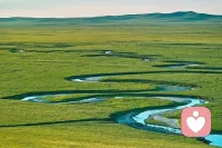 心灵如花园，需要定期除草、浇灌，并接受有些季节就是荒芜。配图