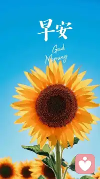 ☀️大家早安吉祥、顺风顺水！
🍎十个小时睡眠，元气满满，最好的养生就是每天充足的睡眠[福][福][福]配图