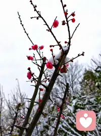 你的心态，决定你能走多远
“心态是人生的方向盘，快乐转弯还是原地打转，全在你手中。”配图