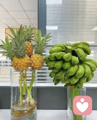 1月21日--国际拥抱[拥抱]日

[拥抱]宜释怀过往，宜奔赴热爱，[拥抱]宜与身边人送去拥抱[愉快][OK]

[拥抱]说到拥抱，[拥抱]你会最先想到谁？

[拥抱]拥抱是唯一一种，[拥抱]既能表达“我爱你”，[拥抱]又能表达“我懂你”的语言。[拥抱]

[拥抱]在这个充满疏离感的时代，[拥抱]愿我们都能勇敢地张开双臂，[拥抱]去拥抱爱，[拥抱]拥抱理解，[拥抱]拥抱那个心怀善意的他人以及拥抱那个相信美好的自己[拥抱]。配图