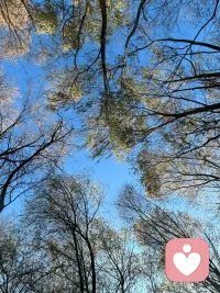 长相随父母，
面相则随内心。
经历与修行，
最终都会写在脸上，
谁也隐藏不了。 
​配图