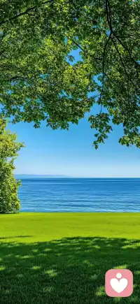 人生就是一场体验，自己丰富自己，别害怕痛苦，痛到极致就是解脱。
只看自己，要做自己的观察者  当你看见河，你已经在河之外，当你看到自己的情绪，你已经在自己的情绪之外，情绪本身并不存在，冷静下来，听从直觉，本自具足的自己会给你答案，用你超凡的视角向下理解它，包容它，你越接纳什么，什么就会消失，你越抗拒什么，什么就会折磨你，当不在对抗命运的安排，你想要的东西自然会出现，心外无物，心外无理配图