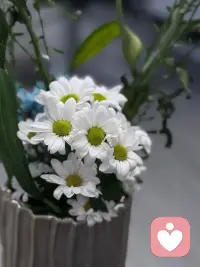 成长的本质，是持续打破自身的认知边界，拒绝思维固化。配图