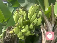 人行善的第一步，是善待自己。不亏待自己，才是众生平等的开始，先暖热了自己的心，再去谈对他人善。配图