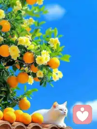 就像是冬天来了，可以躲进房子里，等待春天的到来。暂时躺平，休息一段时间，也是应对困难的一种有效方法。配图