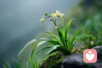 1月再见
向一月道别，
下一段旅程正要展开。
鼓起勇气，满怀信心，
迎接未知的惊喜与考验。配图