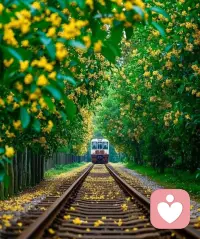 匮乏的人思维里都是算计和抱怨，丰盛的人思维里都是利他和感恩！配图