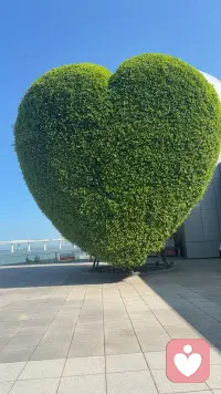用最宽的心
装最多的福

希望日子安静
抬头皆是温柔

望可望之事
待可待之人

向内皈依
做自己喜欢的和擅长的事配图