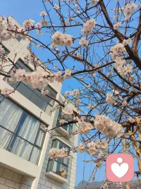 心情好，什么都好；心情不好，一切就都乱了。爱笑的人，独有自己的一份气质，这份气质逾越年龄、衣着和外形，是深藏在内心的。配图