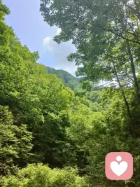 你无法阻止潮水袭来，但可以学会游泳。配图