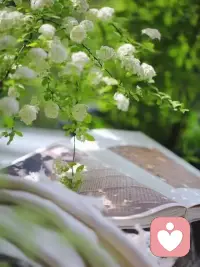保持微笑，生活总会给你想要的答案。配图