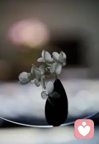  一个内心丰富，不需要或很少需要从外部寻求娱乐的人，无疑是最幸福的。配图