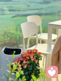 不内耗、不自我攻击、不拿别人的标准审判自己。把力气用在认识自己、接纳自己、成全自己上。配图