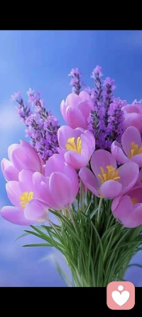 弗兰克尔说：“ 幸福就像蝴蝶，你追的越紧，它飞得越远。”