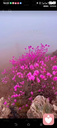 无论身处何种境遇，你都可以选择成为一束微光。照亮自己，也温暖同行的人。这份光亮来自你的善意、坚韧与希望。世界因每一个选择发光的人，而变得更加明亮可爱。新的一天，早安！