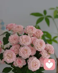 🌷²⁰²⁶/₀₃.₀₁ᵕ̈ 👒
人间三月，好事正酿.
愿你我有幸事、常安康.
在这个天气渐暖,繁花渐盛的三月,
去见花🌷、见月❣️、见自己💕

​