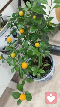 眼界，是读过的书、走过的路、不断更新的认知铺成的。配图