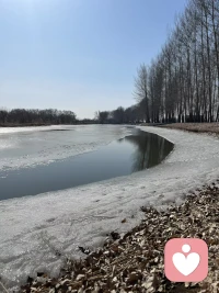 下面这段话很治愈：大多数人，总容易被一点小事、一些不值得的人，毁掉一天，甚至十天半个月的好心情。

我们常常在做“丢了西瓜捡芝麻”的傻事。

不快乐，并非没有快乐的能力，只是没分清什么才是最重要的。
 
假如你兜里有86400元，不小心丢了400元，你绝不会把剩下的钱全都扔掉。

可我们每天都在做同样的傻事：
一天有86400秒，却因为短短400秒的委屈、烦躁和不快，糟蹋了一整天的心情。
 
钱丢了可以再挣，时间走了就再也回不来。
别让片刻的坏情绪，透支你全部的快乐。
2026，愿你心宽事顺，日日轻松自在。配图