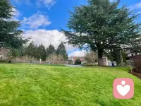 圆满，不是得到更多，而是放下更多。配图