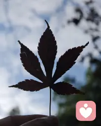 不在小事上较劲是一种从容的心态
生活中，你或许也时常被一些小事绊住脚步。朋友一句无心之言，你反复琢磨半天是不是针对自己；白天说错一句话，晚上翻来覆去懊恼到失眠；总在想如果当初，心里迟迟过不去那道坎.....
这些看似不起眼的小事，却让不少人反复思量，耿耿于怀。
可是当你冷静下来思考，就会发现，在这些小事上较劲，除了浪费宝贵的时间精力，陷入内耗，又让我们得到了什么呢?
真正从容的心态，是学会放过自己。不反刍过往的小事，不被无关的纷扰困住，才能把精力还给自己。心放宽了，才能腾出地方装下更多美好。[太阳][玫瑰]配图