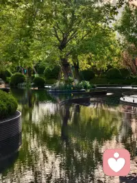 生活不缺少美，而是缺少发现美的眼睛。配图