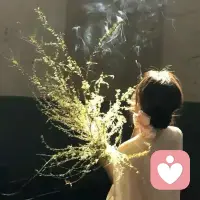 不再和无法改变的事较劲，
不再和留不住的人纠缠，
不再和不完美的自己对抗。
接纳无常，接纳遗憾，接纳一切不如预期，
心才会腾出空间，装下新的阳光与温柔。
真正的放下，是与生活和解，也与自己和解。✨