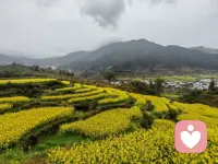 自己撑伞，才能无所畏惧