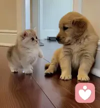 努力的意义就是，以后的日子里，
放眼望去，全部都是自己喜欢的人和事。
[太阳][太阳][太阳]