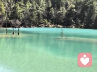 所谓执念，不过是你把一种想法当成了全部真相，把一条路当成了唯一出口。其实生活从来都不是非此即彼，允许自己模糊一点、柔软一点，心才会松下来，路才会宽起来。